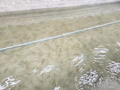 -光头佬室内钓虾场·烧烤·团建·亲子(中山八路店)