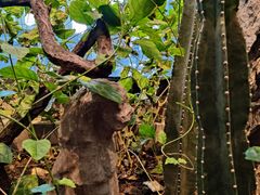 -漪龙台·B26 Rooftop Lounge