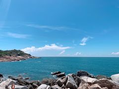 -广东惠东海龟国家级自然保护区