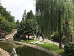 -西安曲江寒窑遗址公园