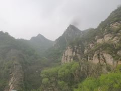 -大岭沟猕猴桃谷风景区
