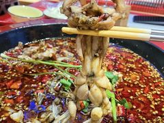 -渔香岛美蛙鱼头火锅(威清路店)