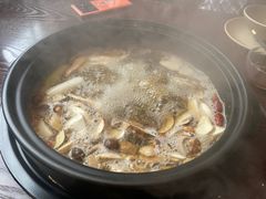 -滇野云南野生菌餐厅(陕西南路店)