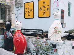 -猫咪博物馆(顶澳仔猫街店)