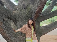 -国家植物园南园