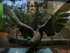 -陕西自然博物馆