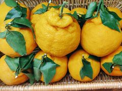 -眉州东坡(国贸店)