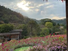 -广东天露山旅游度假区