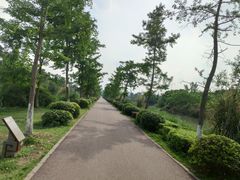 -白鹭湾湿地公园