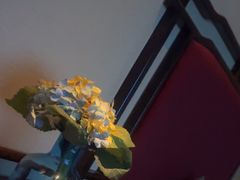 -唐宫足道·SPA·影院会馆(木渎店)