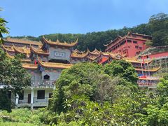 -东莞市大岭山森林公园