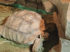 -泉州海丝野生动物世界