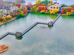 -溱湖国家湿地公园