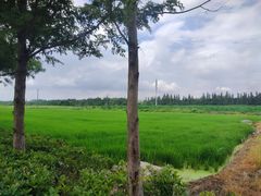 -嘉北郊野公园