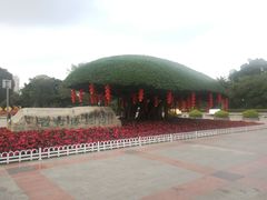 -南宁南湖公园