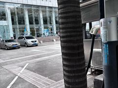 -福州大戏院