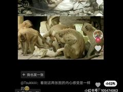 -昆明动物园