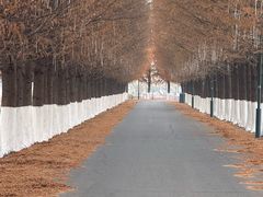 -嘉北郊野公园