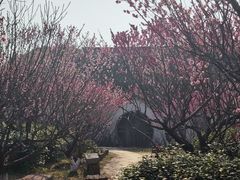 -雨花胜境