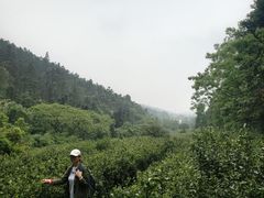 -宝界山林公园