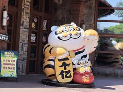 -上海野生动物园老虎餐厅