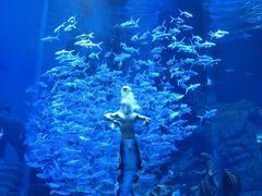 -波塞冬旅游度假区