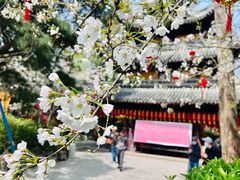 -龙华寺