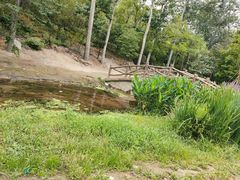 -白水寺森林公园