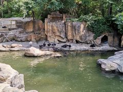 -燕塞湖鸟语林景区
