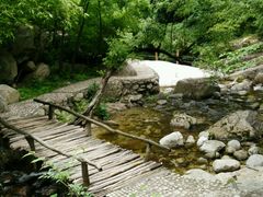 -少华山国家森林公园