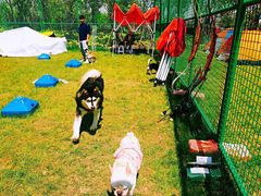 -春花秋色城市公园