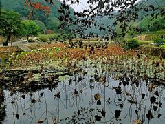 -韶山毛泽东同志故居
