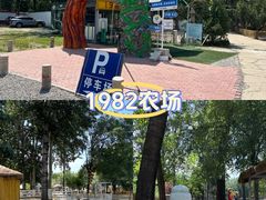 -1982农场
