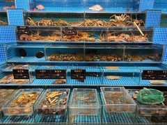 -神洲四海大酒楼(王府井澳门中心店)