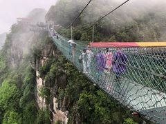 -梦幻奥陶纪景区