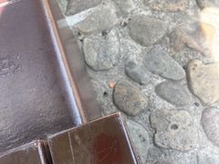 -月湖公园-宁波茶文化博物院