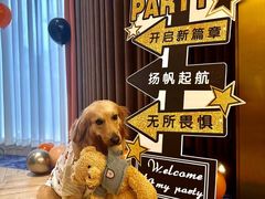 -田园肥牛鲍鱼先生(新北店)