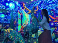 -天津梵高星空艺术馆(天河城旗舰店)