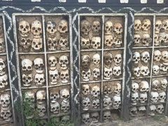 -比如骷髅墙景区