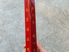 -白云观
