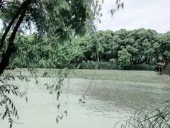 -沙家浜风景区