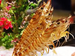 斑节虾-新花城蟹粉馆(乌鲁木齐店)