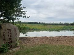 -泗洪洪泽湖湿地景区