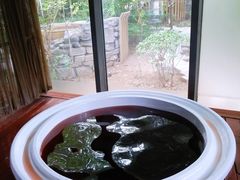 -春晖园度假酒店温泉