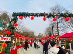 -秀丽东方