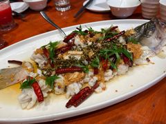 椒麻海鲈鱼-hallch好吃餐厅(奥体中心店)