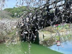 -苏州上方山国家森林公园