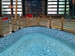 -南宫温泉水世界