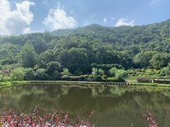 -桃花岭景区