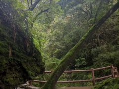 -青城山